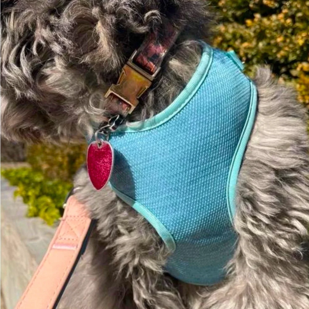 EVERY YAY Comfy Padded Mesh No-Pull Turquoise Teal Blue Dog Harness 🐶MEDIUM🐶 NWT